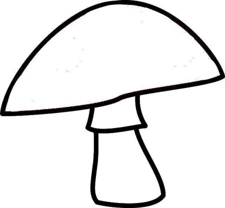 Разукрашка гриб мухомор