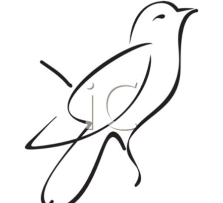 Схематичное изображение птицы