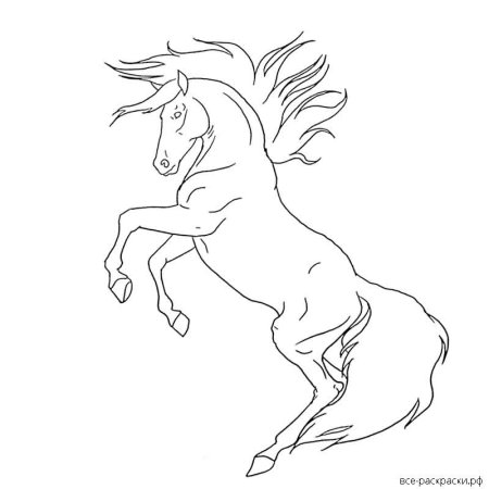 Раскраска к сказке Сивка бурка 3 класс