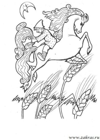 Раскраска. Конек-горбунок