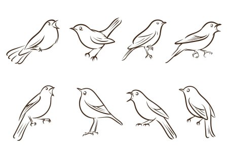 Соловей раскраска