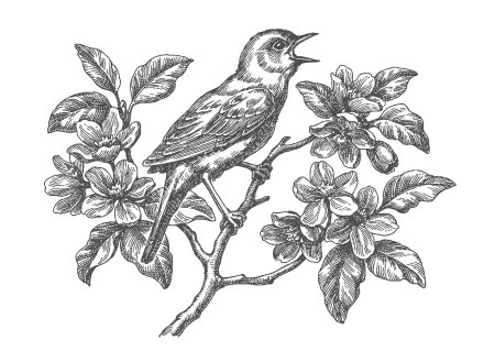 Птица рисунок