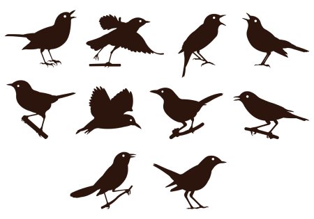 Раскраска Соловей птица