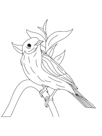 Жаворонок раскраска для детей
