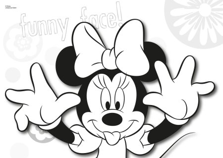 Микки и Минни Маус чб