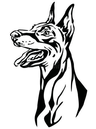 Собака Доберман вектор