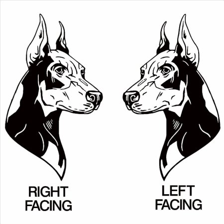 Доберман эскиз