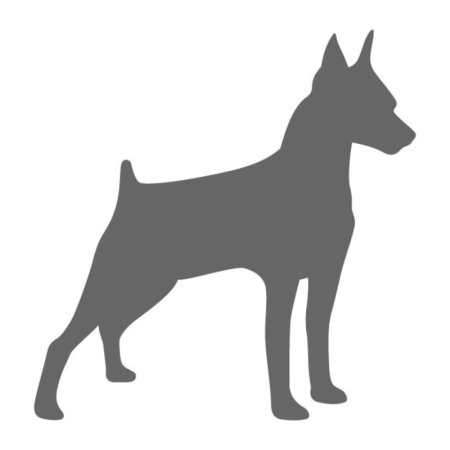 Цвергпинчер контур