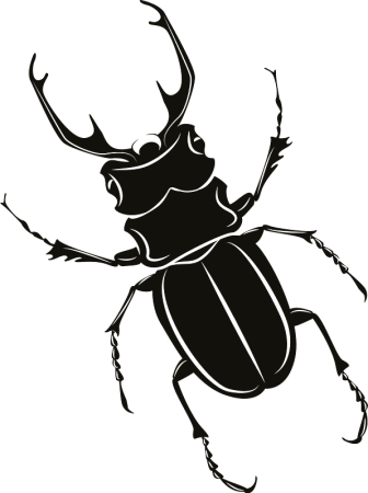 Жук олень