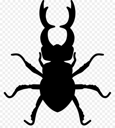 Жук трафарет