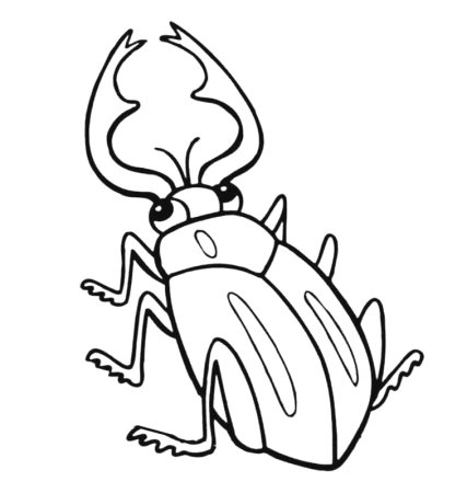 Жук олень раскраска для детей