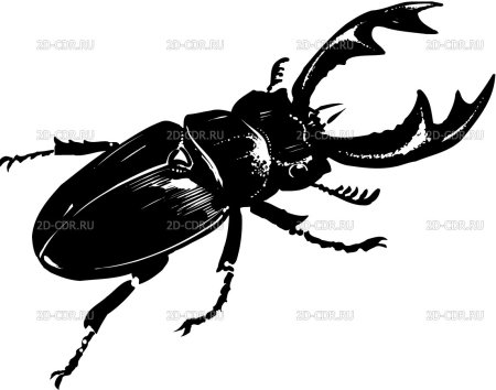 Жук олень вектор