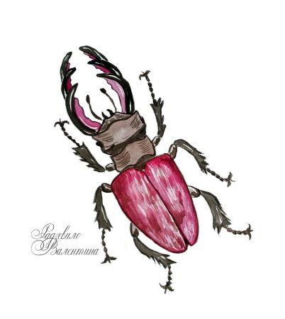 Как нарисовать жука носорога