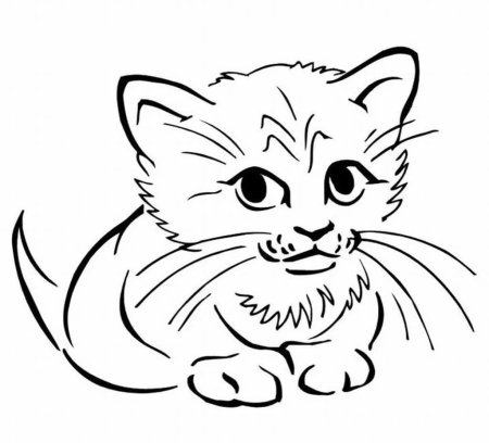 Кошки. Раскраска