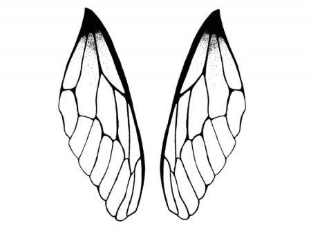 Крыло бабочки трафарет