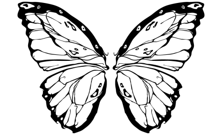 Крылья бабочки