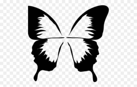 Силуэт бабочки на прозрачном фоне