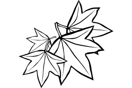 Лист клена трафарет