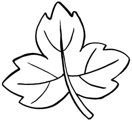 Контур листа дерева
