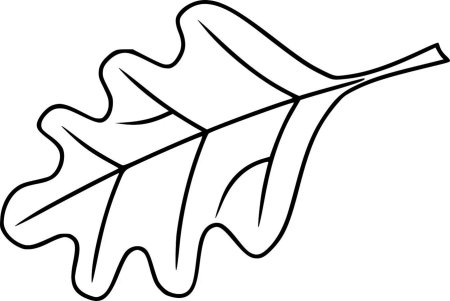 Осенние листья вектор