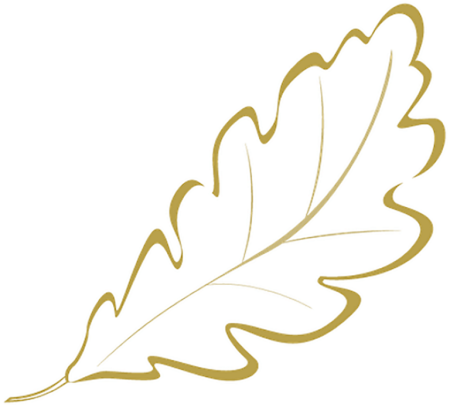 Листья деревьев раскраска