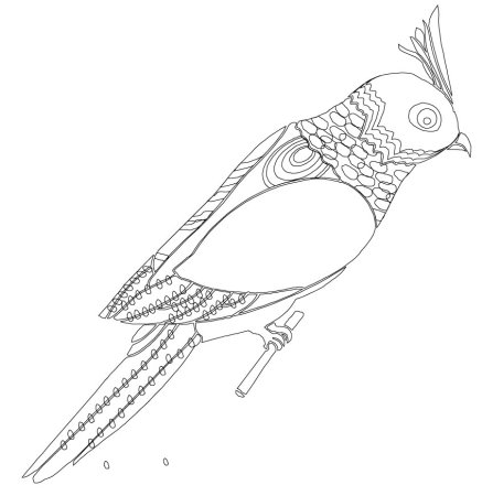 Волнистый попугай раскраска