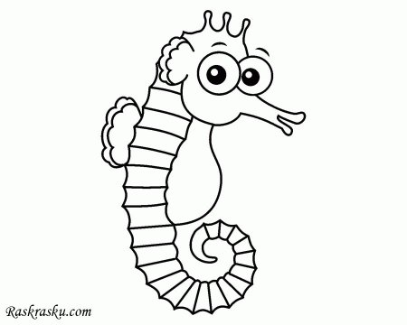 Морской конек раскраска для детей
