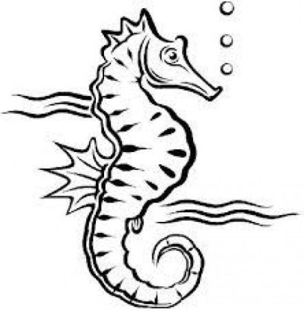 Морской конек контур