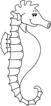 Морской конек раскраска для детей