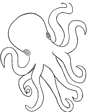 Осьминог трафарет