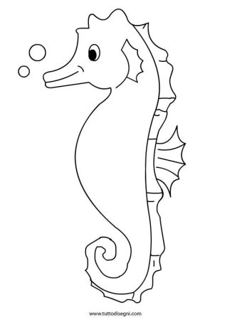 Раскраска "морские жители"