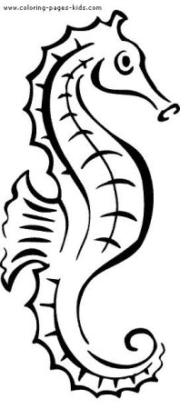 Очертания морских животных конек