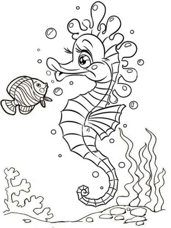 Морской конек контур