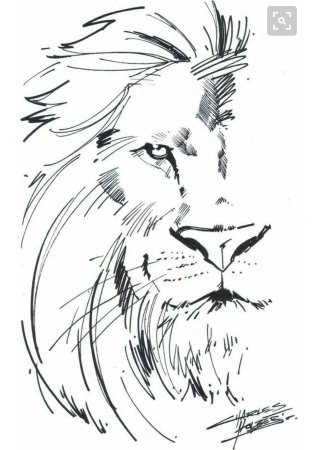 Ловраскраскадля детей