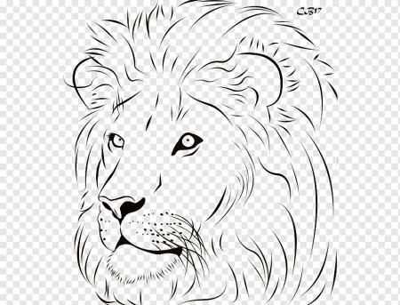 Лев эскиз