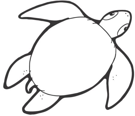 Черепаха шаблон