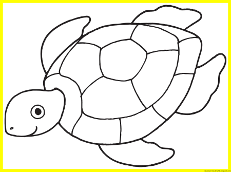 Раскраска черепаха
