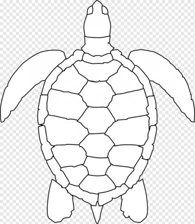 Черепаха знак