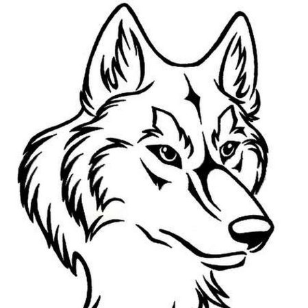 Голова волка для выжигания