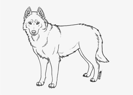 Контур морды лисы сбоку