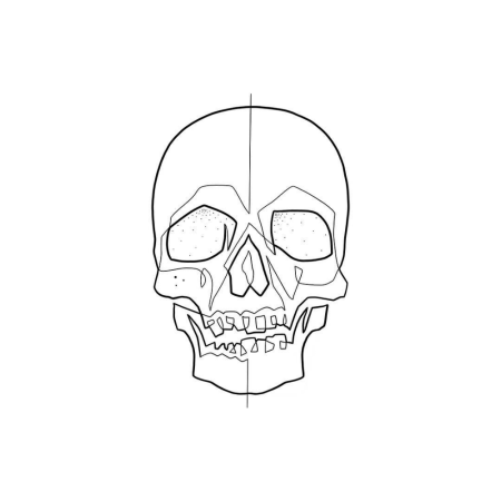 Череп карандашом