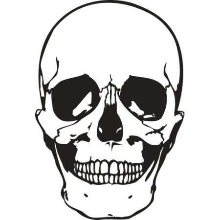 Векторный череп