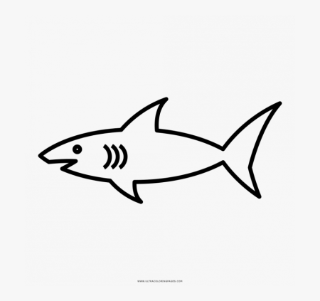 Контур акулы для детей