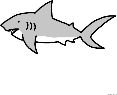 Акула контур