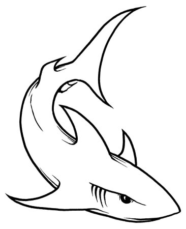 Акула рисунок