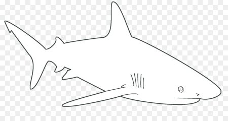 Акула трафарет