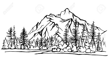 Очертания гор и леса