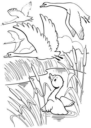 Мамин Сибиряк серая шейка раскраска