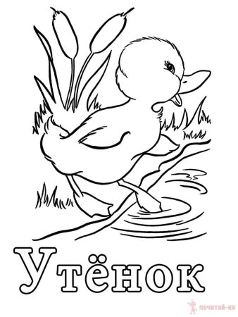 Гадкий утенок рисунок