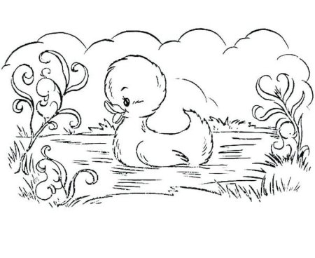Андерсен Гадкий утенок раскраска
